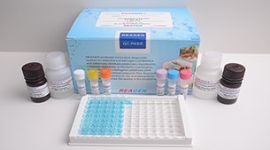 Dibutyl phthalate(DBP) ELISA Test Kit