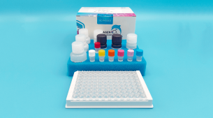 麻痹性貝類毒素(PSP)ELISA試劑盒
